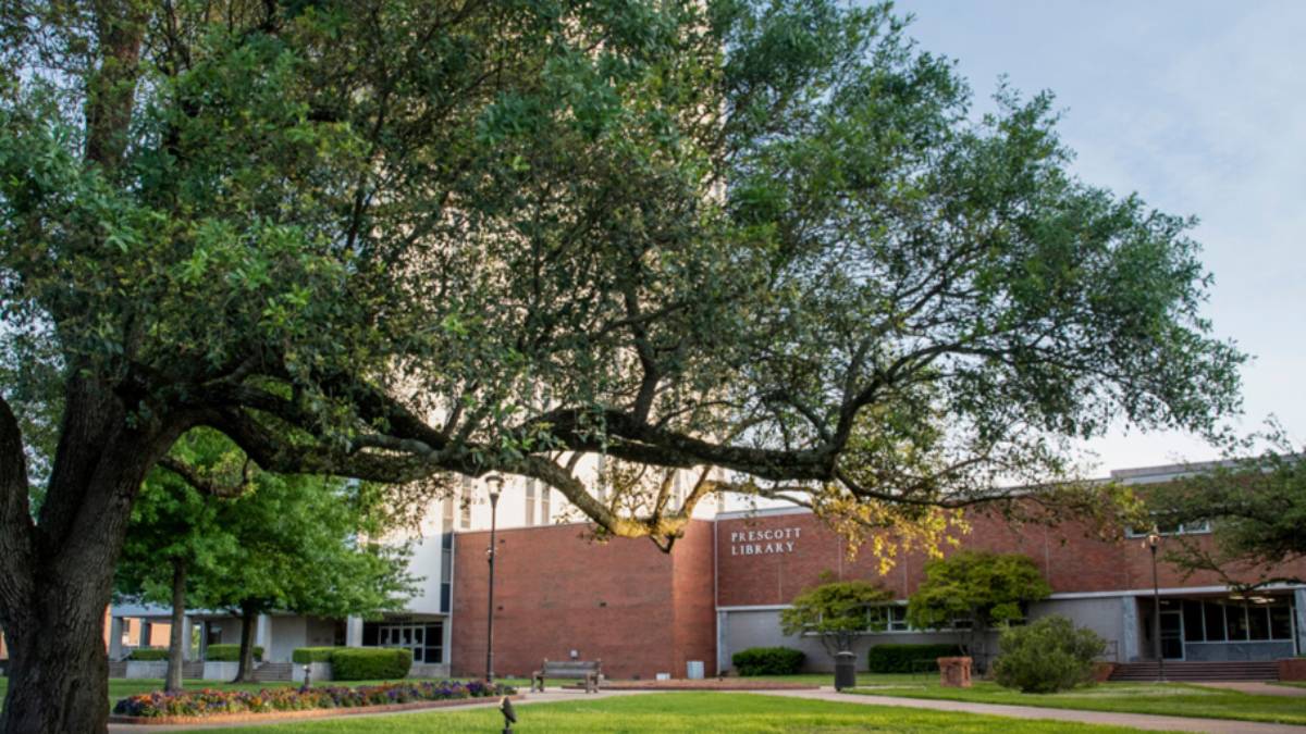 tree with prescott library 