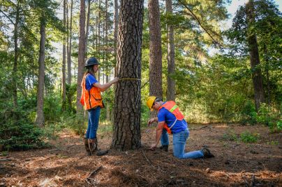 Environmental Testing