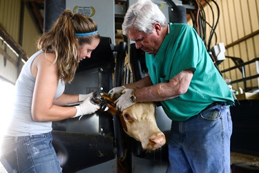 Dr. William Green (right) works with a student in Louisiana Tech's School of Agricultural Sciences and Forestry.