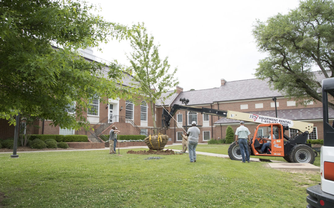 Thanks to donors, Phase 1 of Noble Trees funded