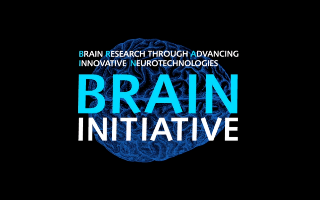 Science Café series to showcase BRAIN Initiative Research