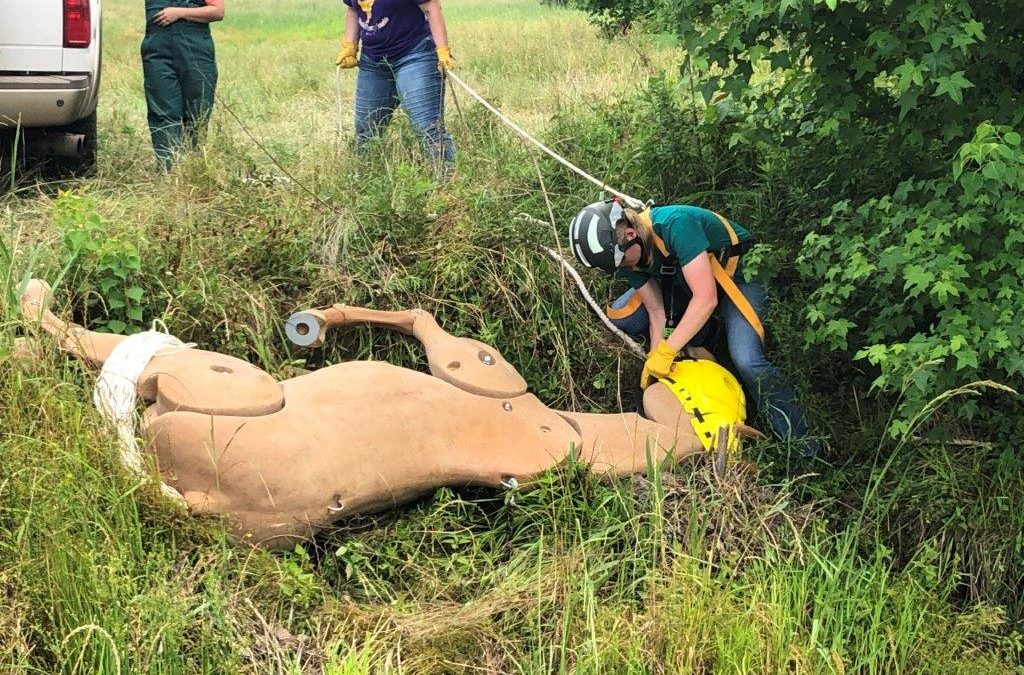 Louisiana Tech hosts Animal Responder Boot Camp