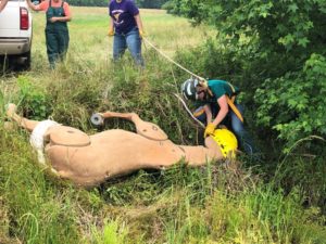 Students attempt a staged rescue during the Animal Rescue Boot Camp.