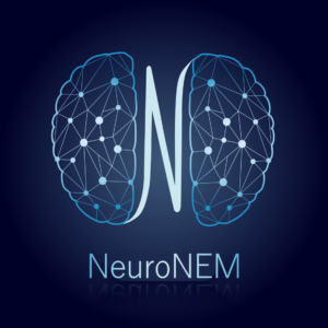 NeuroNEM logo