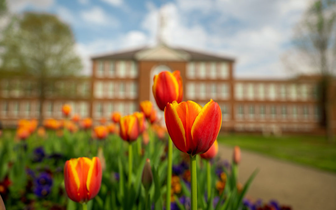 Tech faculty, staff recommend checkups for physical and mental health while teleworking