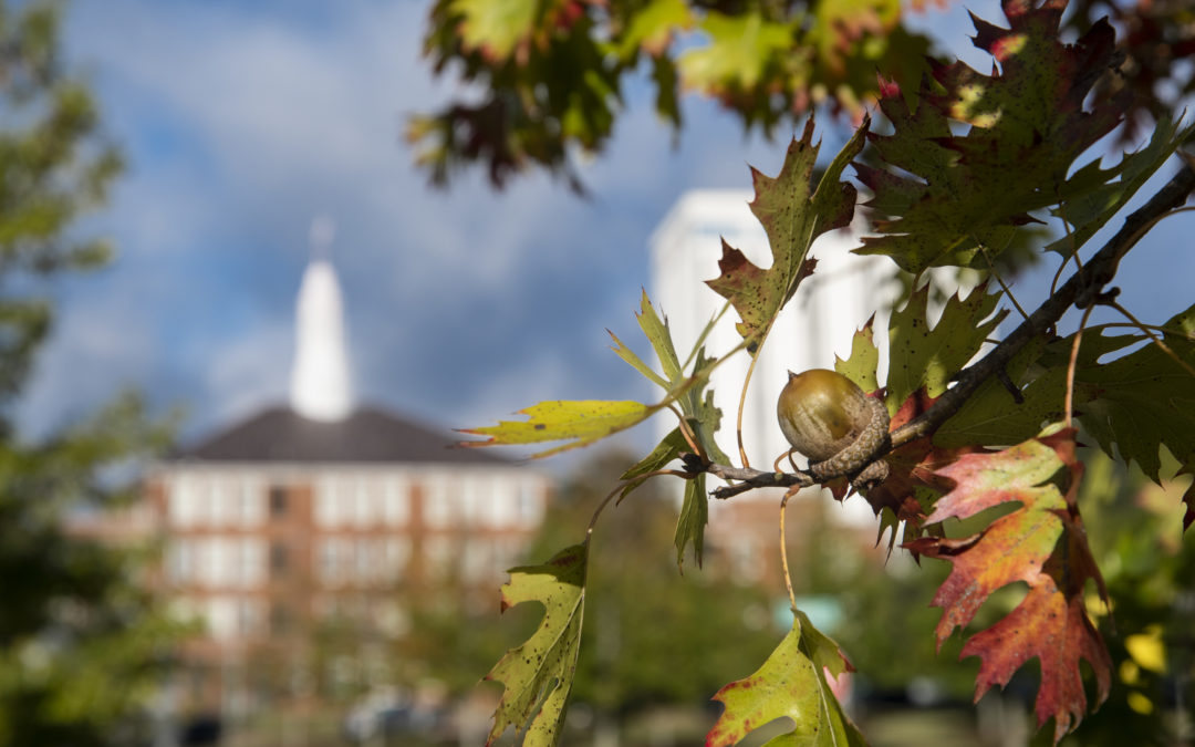 CASE recognizes collaborative communication work at Louisiana Tech