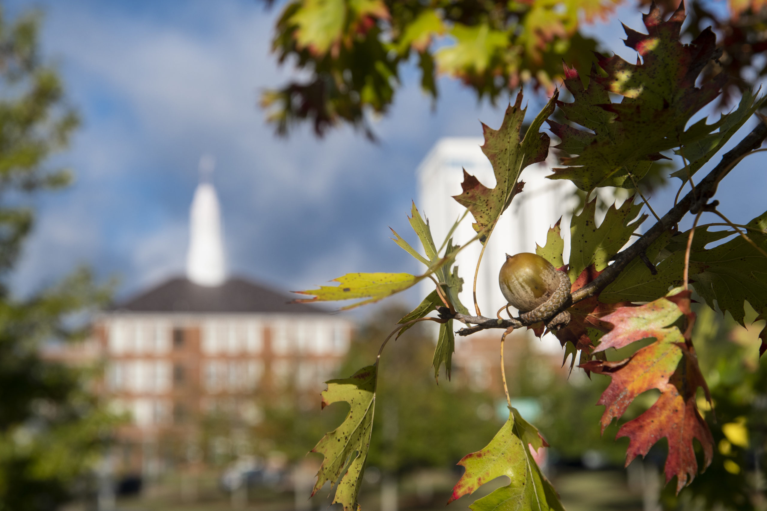 Louisiana Tech University