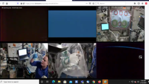 Computer screen capture of Skype call for test of Nestorova's tool.
