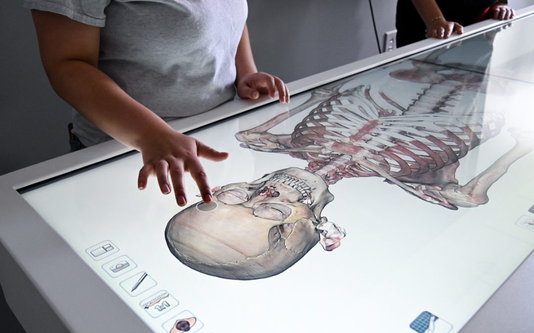 Hinckley Virtual Anatomy Lab a home run for health sciences