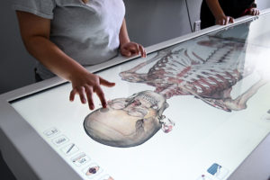 The heart of the lab in Carson-Taylor Hall is the Anatomage Table, the most technologically advanced 3D anatomy visualization and virtual dissection tool for anatomy and physiology education yet created. Pre-vet, pre-med, Biological Sciences, Kinesiology, Nursing, and other health sciences students will benefit from this learning opportunity that will impact the entire campus. Photo by Emerald McIntyre/Louisiana Tech University