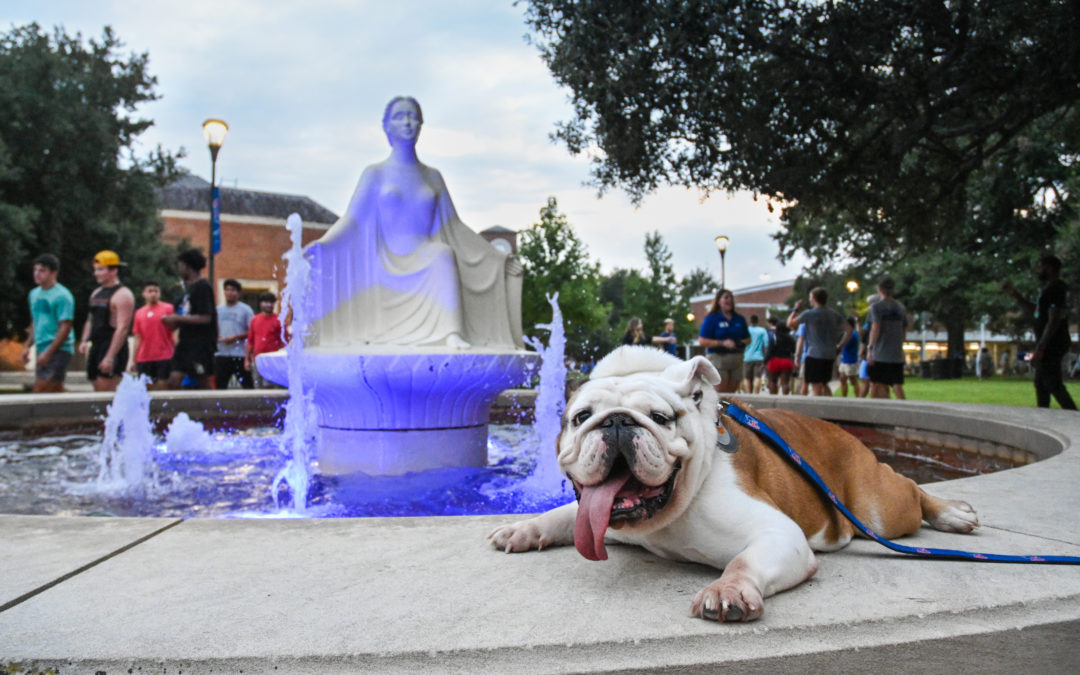 The Year in Review — 2021 at Louisiana Tech