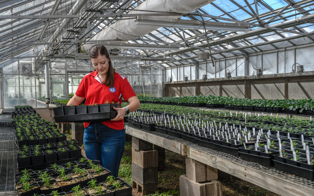 Tech’s fragrant, colorful greenhouses featured in state horticulture Journal