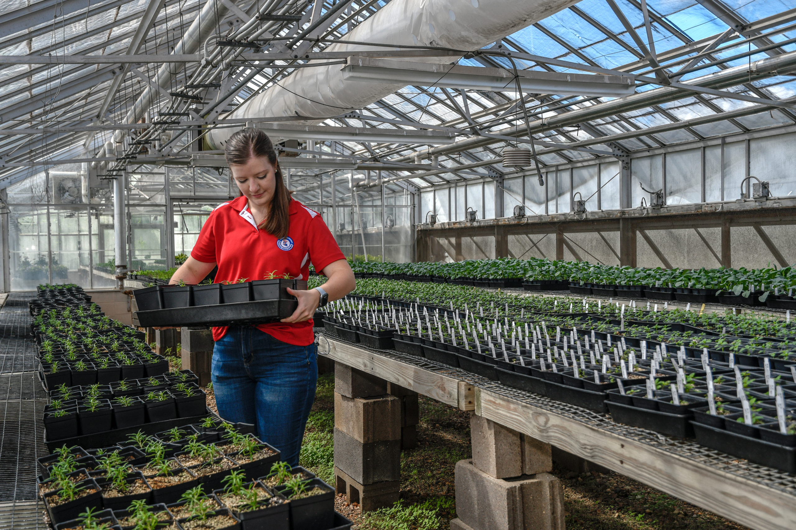 Tech’s fragrant, colorful greenhouses featured in state horticulture ...