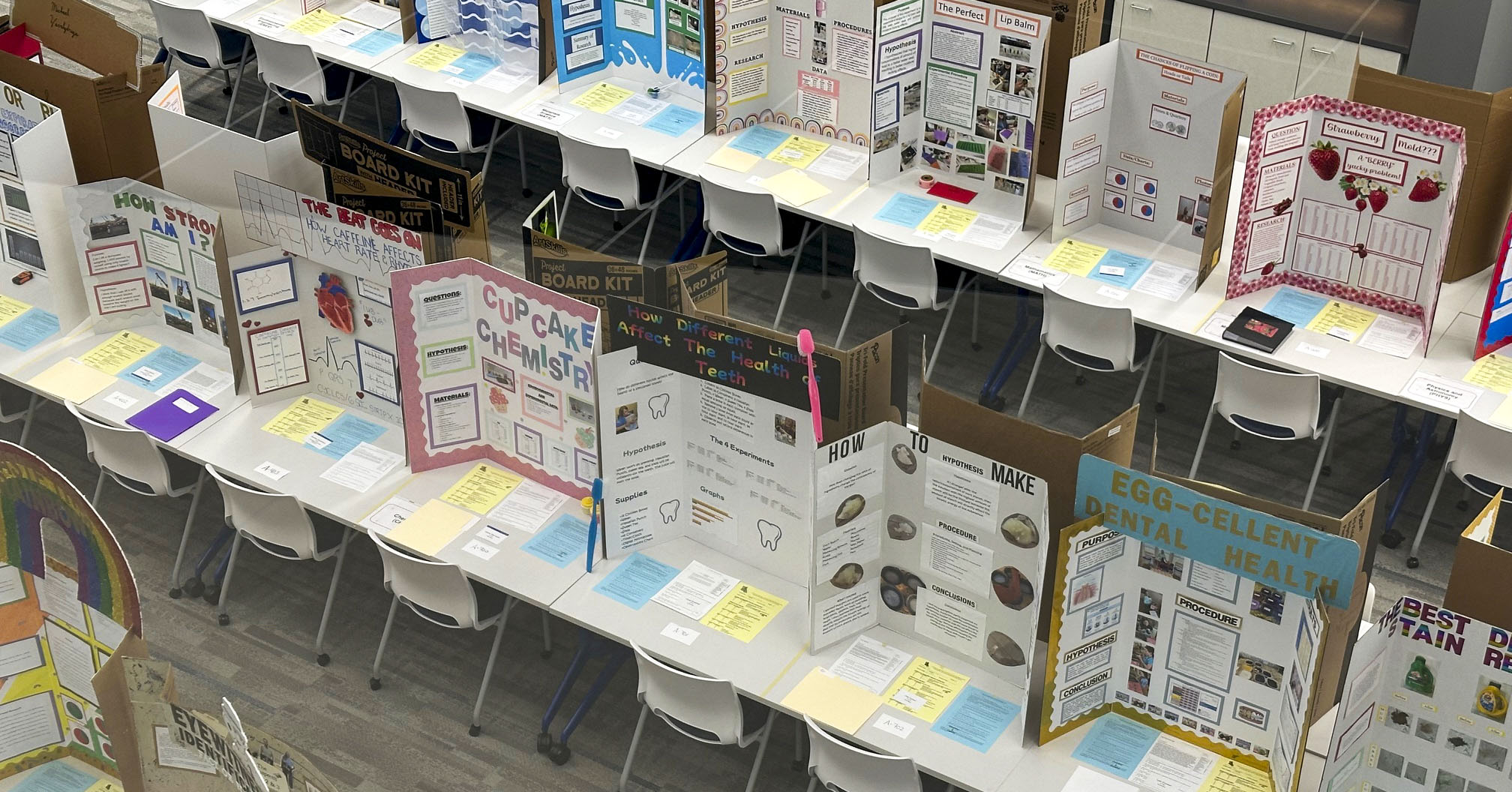 LTRI Science Fair LTRI Science Fair
